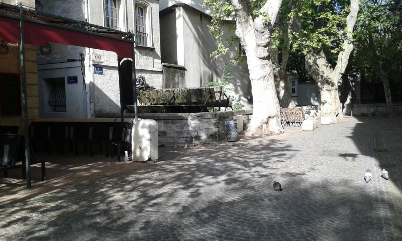 Chambre Sur Jardin Secret - Avignon Centre - Climatisee Luaran gambar