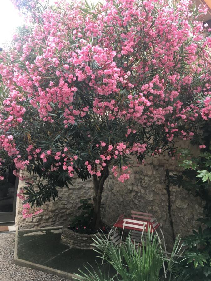 Chambre Sur Jardin Secret - Avignon Centre - Climatisee Luaran gambar